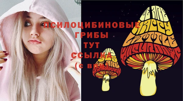 скорость Алзамай
