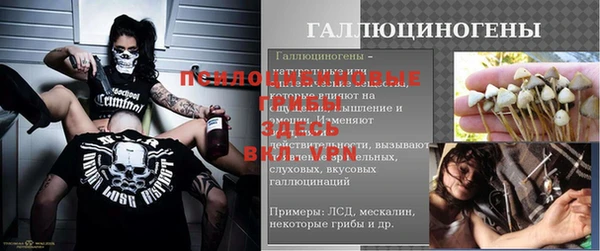 скорость Алзамай