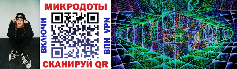 Псилоцибиновые грибы Psilocybine cubensis Майкоп