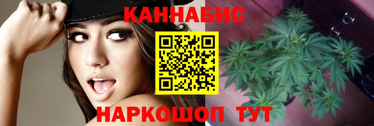 Бошки Шишки Bruce Banner  Вход с VPN  МАРИХУАНА Amnesia  Марихуана индика  Майкоп 